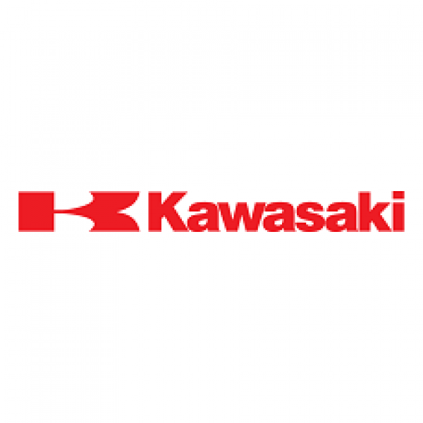 Kawasaki ORIGINAL ECU dumps